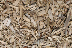 biomass boilers Scratby